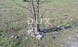 Zemljiste, Čavle, Soboli, prodaja, 80000 €, 650 m2