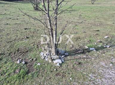 Zemljiste, Čavle, Soboli, prodaja, 80000 €, 650 m2