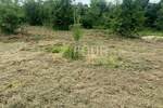 Zemljiste, Umag, Materada, prodaja, 35000 €, 500 m2