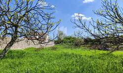 Zemljiste, Barban, prodaja, 75000 €, 1329 m2