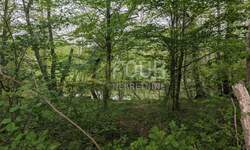 Zemljiste, Čavle, Grobnik, prodaja, 99000 €, 1723 m2