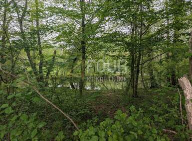 Zemljiste, Čavle, Grobnik, prodaja, 99000 €, 1723 m2