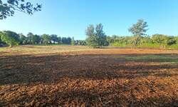 Zemljiste, Tar-Vabriga, Tar, prodaja, 924000 €, 4200 m2