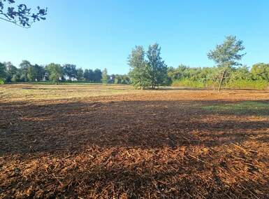 Zemljiste, Tar-Vabriga, Tar, prodaja, 924000 €, 4200 m2