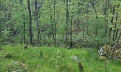 Zemljiste, Matulji, Pasjak, prodaja, 47000 €, 19180 m2