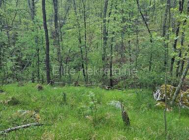 Zemljiste, Matulji, Pasjak, prodaja, 47000 €, 19180 m2