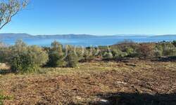 Zemljiste, Labin, prodaja, 250000 €, 1205 m2