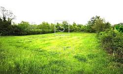 Zemljiste, Vižinada, prodaja, 400000 €, 3120 m2