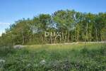 Zemljiste, Dobrinj, Rasopasno, prodaja, 155000 €, 800 m2