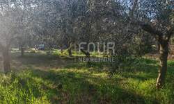 Zemljiste, Marčana, prodaja, 284500 €, 3045 m2