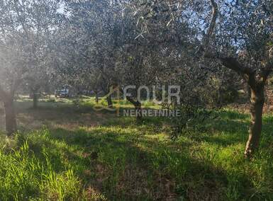 Zemljiste, Marčana, prodaja, 284500 €, 3045 m2