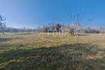 Zemljiste, Marčana, prodaja, 284500 €, 3045 m2