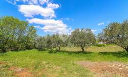 Zemljiste, Vodnjan, prodaja, 120000 €, 1077 m2