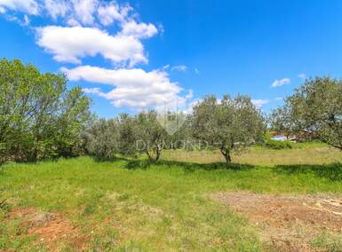 Zemljiste, Vodnjan, prodaja, 120000 €, 1077 m2