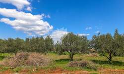Zemljiste, Vodnjan, prodaja, 88000 €, 819 m2