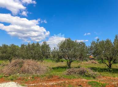 Zemljiste, Vodnjan, prodaja, 88000 €, 819 m2