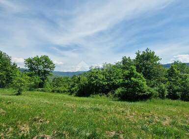Zemljiste, Oprtalj, prodaja, 231000 €, 3836 m2