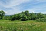 Zemljiste, Oprtalj, prodaja, 231000 €, 3836 m2