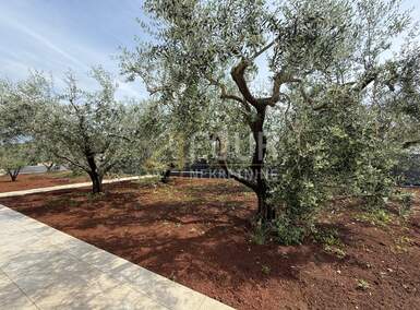 Kuca, Sveti Lovreč, prodaja, 950000 €, 346 m2