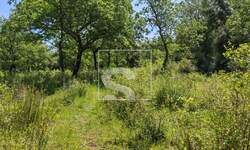 Zemljiste, Vodnjan, Peroj, prodaja, 105000 €, 3349 m2