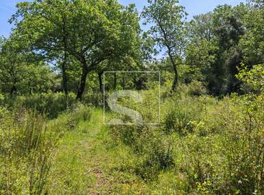 Zemljiste, Vodnjan, Peroj, prodaja, 105000 €, 3349 m2