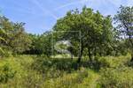 Zemljiste, Vodnjan, Peroj, prodaja, 105000 €, 3349 m2
