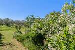 Zemljiste, Medulin, prodaja, 150000 €, 1507 m2
