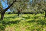 Zemljiste, Medulin, prodaja, 150000 €, 1507 m2