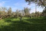 Zemljiste, Pula, Centar, prodaja, 602472 €, 5793 m2