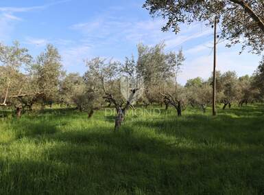 Zemljiste, Pula, Centar, prodaja, 602472 €, 5793 m2