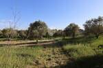 Zemljiste, Pula, Centar, prodaja, 200000 €, 1100 m2