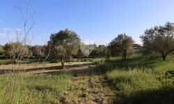 Zemljiste, Pula, Centar, prodaja, 200000 €, 1100 m2