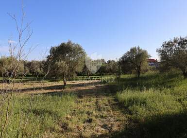 Zemljiste, Pula, Centar, prodaja, 200000 €, 1100 m2
