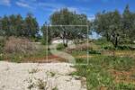 Zemljiste, Vodnjan, prodaja, 88000 €, 705 m2