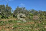 Zemljiste, Vodnjan, prodaja, 88000 €, 705 m2