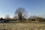 Zemljiste, Ližnjan, Šišan, prodaja, 100000 €, 802 m2