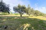 Zemljiste, Vodnjan, prodaja, 115000 €, 1077 m2
