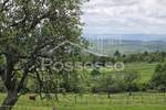 Kuca, Buzet, Roč, prodaja, 36000 €, 194 m2