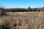 Zemljiste, Tar-Vabriga, Tar, prodaja, 2075000 €, 15360 m2