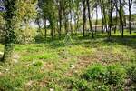 Zemljiste, Tinjan, Muntrilj, prodaja, 310000 €, 3057 m2