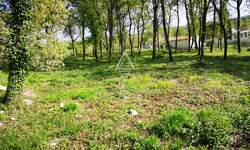 Zemljiste, Tinjan, Muntrilj, prodaja, 310000 €, 3057 m2