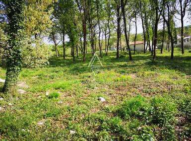 Zemljiste, Tinjan, Muntrilj, prodaja, 310000 €, 3057 m2