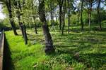Zemljiste, Tinjan, Muntrilj, prodaja, 310000 €, 3057 m2