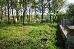 Zemljiste, Tinjan, Muntrilj, prodaja, 310000 €, 3057 m2