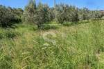 Zemljiste, Ližnjan, Valtura, prodaja, 55000 €, 577 m2