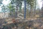 Zemljiste, Pićan, Orič, prodaja, 43000 €, 21359 m2