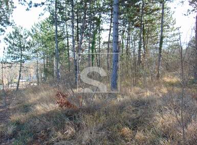 Zemljiste, Pićan, Orič, prodaja, 43000 €, 21359 m2