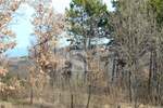 Zemljiste, Pićan, Orič, prodaja, 43000 €, 21359 m2
