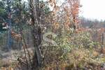 Zemljiste, Pićan, Orič, prodaja, 43000 €, 21359 m2