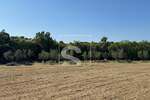 Zemljiste, Marčana, Rakalj, prodaja, 55000 €, 5028 m2